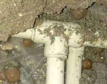 天宁测漏水多少钱