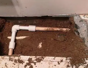 天宁测漏水哪家好