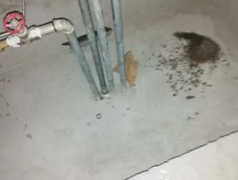 天宁卫生间测漏水价格明细