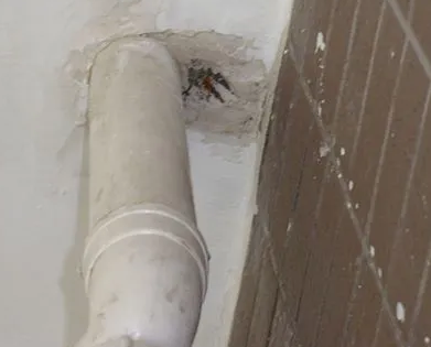 天宁漏水检测哪家好